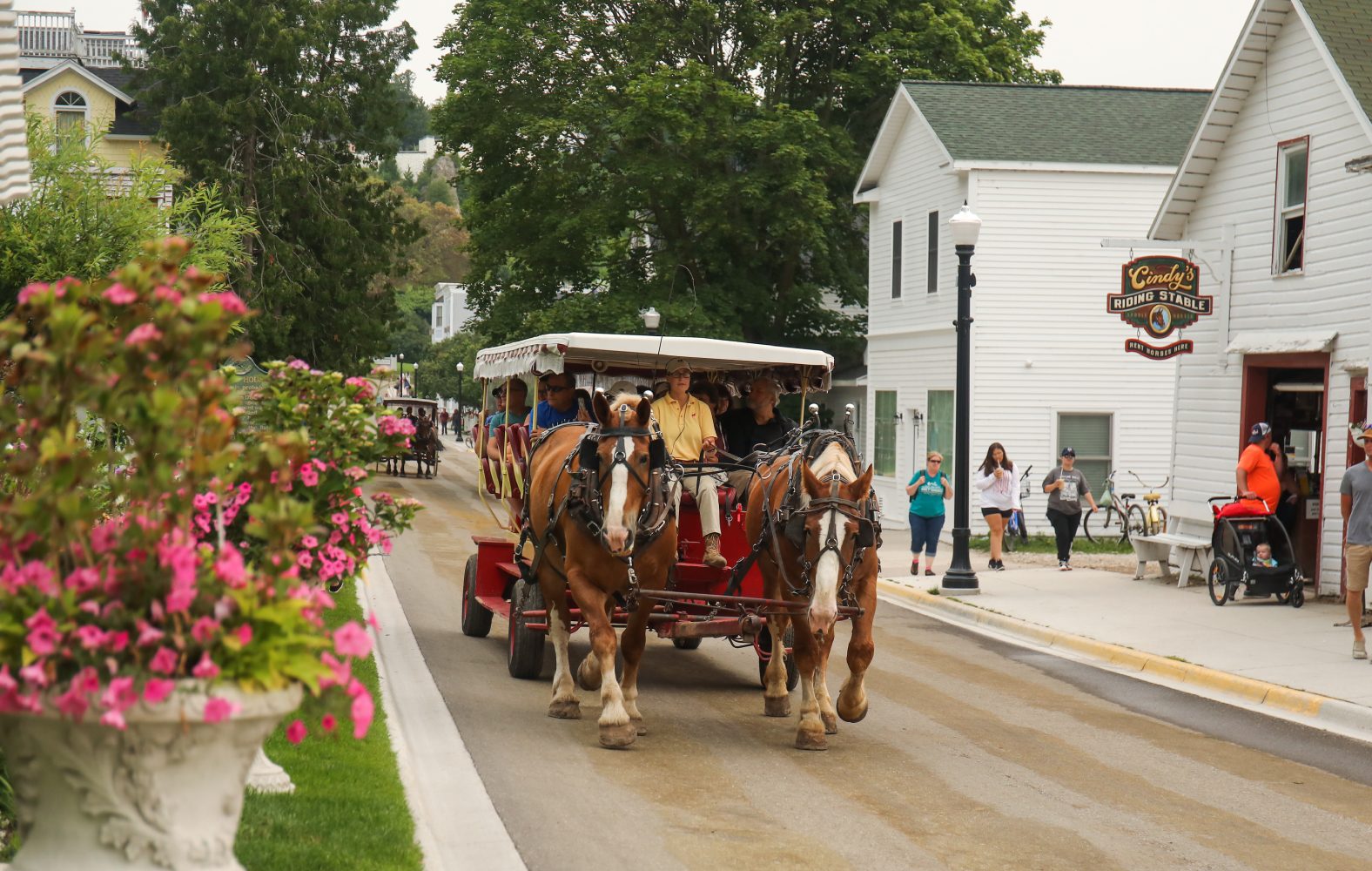 All Things Horses on Mackinac Island MI - Do - Mackinac Island Tourism