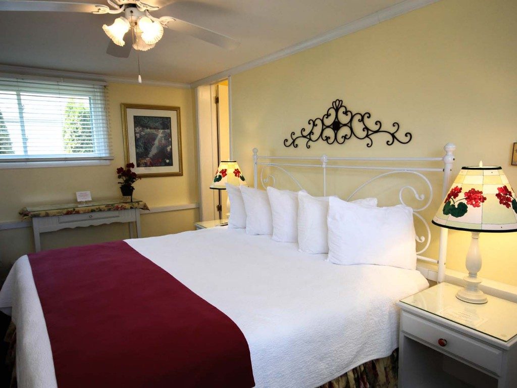 Deluxe King Room with One King Bed