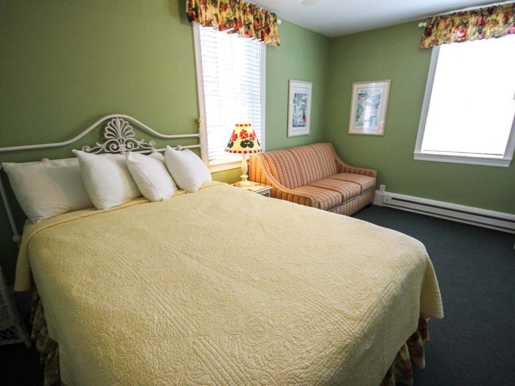 Queen Bed/Sleeper Sofa Bed
