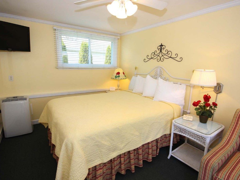 Queen Bed/Sleeper Sofa Bed