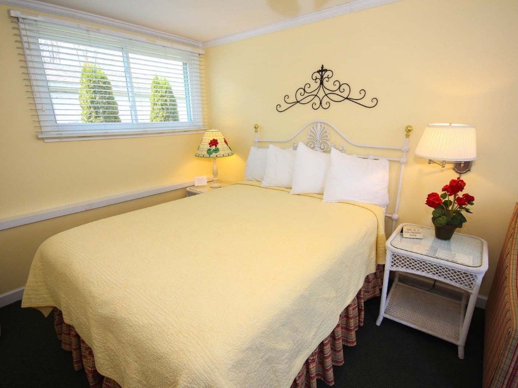 Queen Bed/Sleeper Sofa Bed